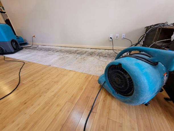 Professional Sewage Cleanup technician working in Dowelltown, TN